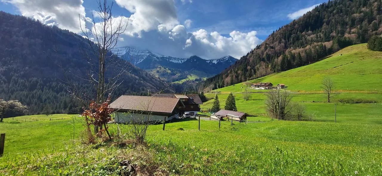 Fewo Allgaeuliebe Mit Wlan Oberstaufen Steibis