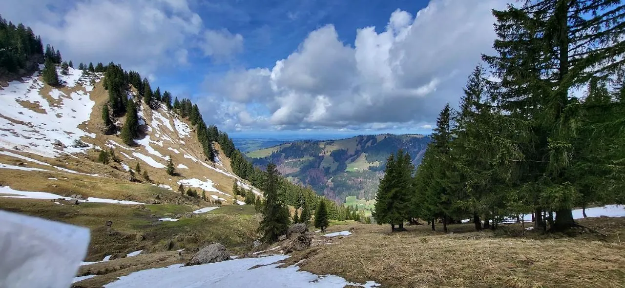 Fewo Allgaeuliebe Mit Wlan Oberstaufen Steibis 0*,  Germany